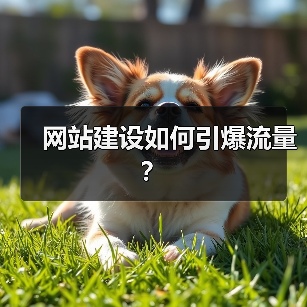 网站建设如何引爆流量?(图4) 网站建设如何引爆流量?(图4)