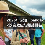 2026年必知:Sandbox沙盒效应与新站排名技巧全解析(图2) 2026年必知:Sandbox沙盒效应与新站排名技巧全解析(图2)