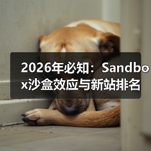 2026年必知:Sandbox沙盒效应与新站排名技巧全解析(图3) 2026年必知:Sandbox沙盒效应与新站排名技巧全解析(图3)