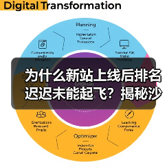 为什么新站上线后排名迟迟未能起飞?揭秘沙盒效应与域名信任建立的真相(图2) 为什么新站上线后排名迟迟未能起飞?揭秘沙盒效应与域名信任建立的真相(图2)