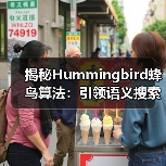 揭秘Hummingbird蜂鸟算法:引领语义搜索与意图理解新时代(图2) 揭秘Hummingbird蜂鸟算法:引领语义搜索与意图理解新时代(图2)