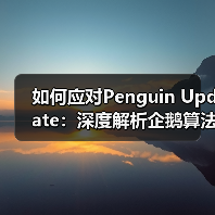 如何应对Penguin Update:深度解析企鹅算法背后的秘密(图3) 如何应对Penguin Update:深度解析企鹅算法背后的秘密(图3)