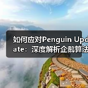 如何应对Penguin Update:深度解析企鹅算法背后的秘密(图4) 如何应对Penguin Update:深度解析企鹅算法背后的秘密(图4)