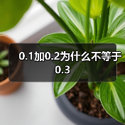 0.1加0.2为什么不等于0.3(图4) 0.1加0.2为什么不等于0.3(图4)