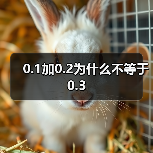 0.1加0.2为什么不等于0.3(图2) 0.1加0.2为什么不等于0.3(图2)