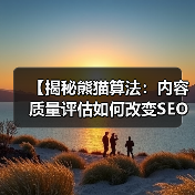 【揭秘熊猫算法:内容质量评估如何改变SEO格局】(图3) 【揭秘熊猫算法:内容质量评估如何改变SEO格局】(图3)