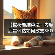 【揭秘熊猫算法:内容质量评估如何改变SEO格局】(图4) 【揭秘熊猫算法:内容质量评估如何改变SEO格局】(图4)