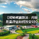 【揭秘熊猫算法:内容质量评估如何改变SEO格局】(图2) 【揭秘熊猫算法:内容质量评估如何改变SEO格局】(图2)