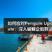 如何应对Penguin Update:深入破解企鹅算法背后的链接质量评估秘诀(图4) 如何应对Penguin Update:深入破解企鹅算法背后的链接质量评估秘诀(图4)