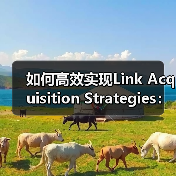 如何高效实现Link Acquisition Strategies：突破外链困局的秘密（图4）