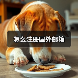 怎么注册国外邮箱(图4) 怎么注册国外邮箱(图4)