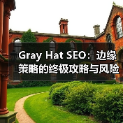 Gray Hat SEO：边缘策略的终极攻略与风险平衡（图2）