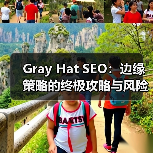 Gray Hat SEO：边缘策略的终极攻略与风险平衡（图3）