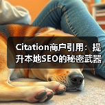 Citation商户引用:提升本地SEO的秘密武器(图4) Citation商户引用:提升本地SEO的秘密武器(图4)
