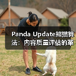 Panda Update熊猫算法:内容质量评估的革命性变革(图3) Panda Update熊猫算法:内容质量评估的革命性变革(图3)