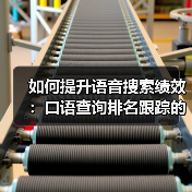 如何提升语音搜索绩效：口语查询排名跟踪的终极秘籍（图2）