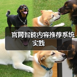 官网智能内容推荐系统实践(图2) 官网智能内容推荐系统实践(图2)