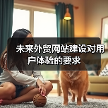 未来外贸网站建设对用户体验的要求(图1) 未来外贸网站建设对用户体验的要求(图1)