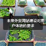 未来外贸网站建设对用户体验的要求(图3) 未来外贸网站建设对用户体验的要求(图3)