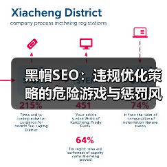黑帽SEO：违规优化策略的危险游戏与惩罚风险（图4）