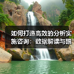 如何打造高效的分析实施咨询：数据解读与跟踪设置的关键策略