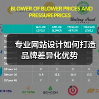 专业网站设计如何打造品牌差异化优势(图4) 专业网站设计如何打造品牌差异化优势(图4)