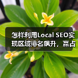 怎样利用Local SEO实现区域排名飙升,赢占附近商机(图1) 怎样利用Local SEO实现区域排名飙升,赢占附近商机(图1)