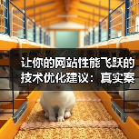 让你的网站性能飞跃的技术优化建议:真实案例与具体措施(图2) 让你的网站性能飞跃的技术优化建议:真实案例与具体措施(图2)
