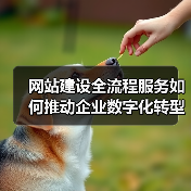 网站建设全流程服务如何推动企业数字化转型？（图3）
