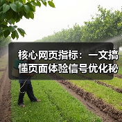 核心网页指标:一文搞懂页面体验信号优化秘籍(图1) 核心网页指标:一文搞懂页面体验信号优化秘籍(图1)