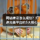 网站建设怎么规划?打造完美平台的5大核心要点(图1) 网站建设怎么规划?打造完美平台的5大核心要点(图1)