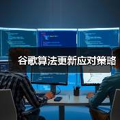 谷歌算法更新应对策略(图2) 谷歌算法更新应对策略(图2)