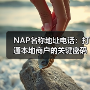 NAP名称地址电话：打通本地商户的关键密码（图3）