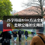 JS字符串trim方法全解析：去除空格的实用技巧（图2）