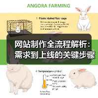 网站制作全流程解析：需求到上线的关键步骤（图4）
