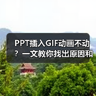 PPT插入GIF动画不动?一文教你找出原因和解决方法(图3) PPT插入GIF动画不动?一文教你找出原因和解决方法(图3)