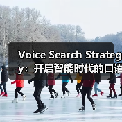 Voice Search Strategy:开启智能时代的口语优化秘籍(图2) Voice Search Strategy:开启智能时代的口语优化秘籍(图2)
