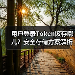 用户登录Token该存哪儿？安全存储方案解析（图3）