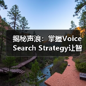 揭秘声浪:掌握Voice Search Strategy让智能助手为你添翼(图4) 揭秘声浪:掌握Voice Search Strategy让智能助手为你添翼(图4)