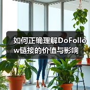 如何正确理解DoFollow链接的价值与影响(图4) 如何正确理解DoFollow链接的价值与影响(图4)