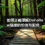 如何正确理解DoFollow链接的价值与影响(图3) 如何正确理解DoFollow链接的价值与影响(图3)