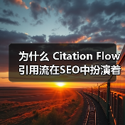 为什么 Citation Flow 引用流在SEO中扮演着不可或缺的角色?(图2) 为什么 Citation Flow 引用流在SEO中扮演着不可或缺的角色?(图2)