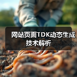 网站页面TDK动态生成技术解析(图3) 网站页面TDK动态生成技术解析(图3)