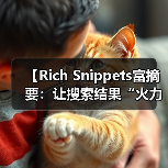 【Rich Snippets富摘要：让搜索结果“火力全开”提升点击率的秘密武器】（图3）