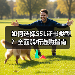 如何选择SSL证书类型?全面解析选购指南(图2) 如何选择SSL证书类型?全面解析选购指南(图2)