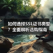 如何选择SSL证书类型?全面解析选购指南(图1) 如何选择SSL证书类型?全面解析选购指南(图1)