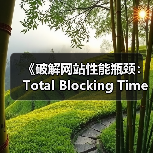 《破解网站性能瓶颈：Total Blocking Time的秘密武器》