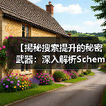 【揭秘搜索提升的秘密武器：深入解析Schema Markup与结构化数据的未来】（图2）