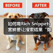 如何用Rich Snippets富摘要让搜索结果“爆炸性”增长——结构化数据展示的秘密武器(图3) 如何用Rich Snippets富摘要让搜索结果“爆炸性”增长——结构化数据展示的秘密武器(图3)