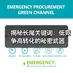 揭秘长尾关键词:低竞争高转化的秘密武器(图2) 揭秘长尾关键词:低竞争高转化的秘密武器(图2)